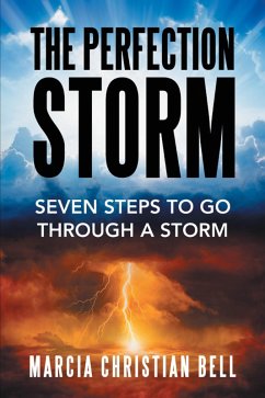 The Perfection Storm (eBook, ePUB) - Bell, Marcia Christian