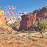 Little Wild Horse Canyon (eBook, ePUB) - Bild 1