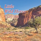 Little Wild Horse Canyon (eBook, ePUB)