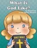 What Is God Like? (eBook, ePUB)