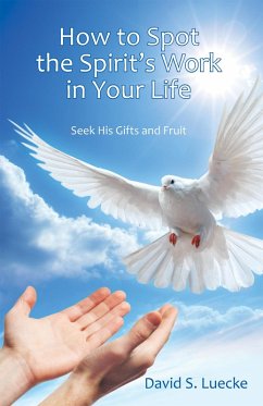 How to Spot the Spirit's Work in Your Life (eBook, ePUB) - Luecke, David S.