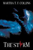 The Storm (eBook, ePUB) The Storm (eBook, ePUB)