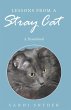 Lessons from a Stray Cat (eBook, ePUB) - Bild 1