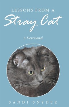 Lessons from a Stray Cat (eBook, ePUB) - Snyder, Sandi