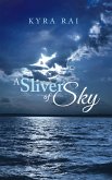 A Sliver of Sky (eBook, ePUB)
