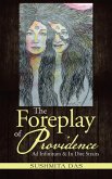 The Foreplay of Providence (eBook, ePUB)