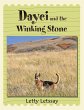 Dayci and the Winking Stone (eBook,... - Bild 1