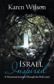Israel Inspired (eBook, ePUB)
