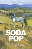 Soda Pop (eBook, ePUB)