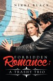Forbidden Romance: (eBook, ePUB)