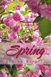 Spring (eBook, ePUB) - Bild 1