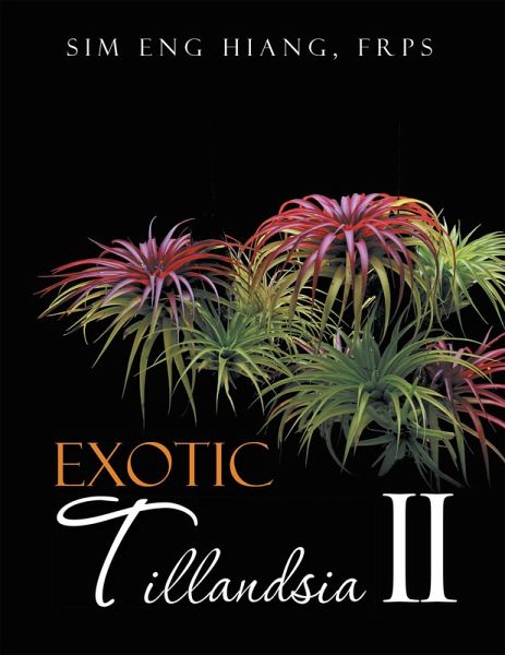 Exotic Tillandsia Ii (eBook, ePUB)