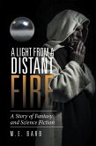 A Light from a Distant Fire (eBook, ePUB)