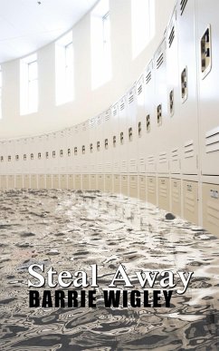 Cover Steal Away (eBook, ePUB)