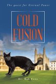 Cold Fusion (eBook, ePUB)