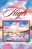 Bermuda High (eBook, ePUB)