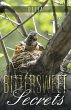 Bittersweet Secrets (eBook, ePUB) - Bild 1