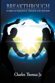 Breakthrough (eBook, ePUB)