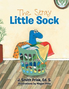 Cover The Stray Little Sock (eBook, ePUB)