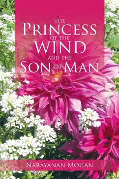 Cover The Princess of the Wind and the Son of Man (eBook, ePUB)
