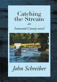 Catching the Stream (eBook, ePUB)