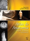 Atlas de anatomia (eBook, ePUB)