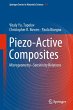 Piezo-Active Composites - Bild 1