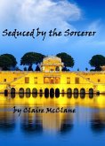 Seduced by the Sorcerer (eBook, ePUB)