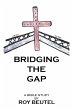 Bridging the Gap (eBook, ePUB) - Bild 1
