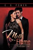 Moth to a Flame: Forbidden Love (eBook, ePUB)