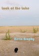 Look at the Lake - Bild 1