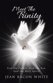 Meet the Trinity (eBook, ePUB)