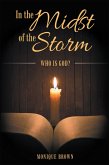 In the Midst of the Storm (eBook, ePUB)