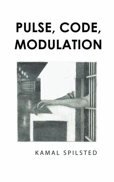 Pulse, Code, Modulation (eBook, ePUB)
