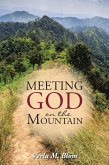 Meeting God on the Mountain (eBook, ePUB)