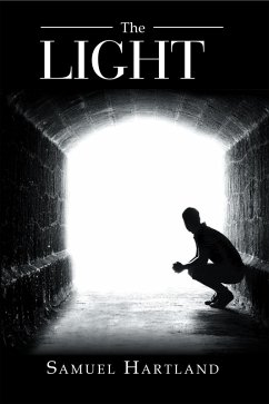 Cover The Light (eBook, ePUB)