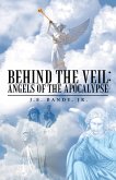 Behind the Veil: Angels of the Apocalypse (eBook, ePUB)