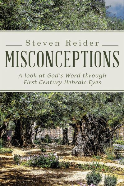 Misconceptions (eBook, ePUB)