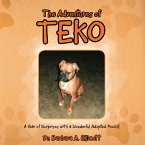 The Adventures of Teko (eBook, ePUB)