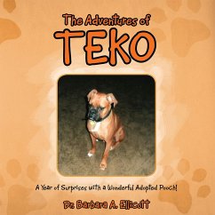 Cover The Adventures of Teko (eBook, ePUB)