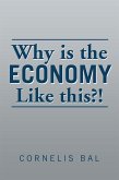 Why Is the Economy Like This?! (eBook, ePUB)
