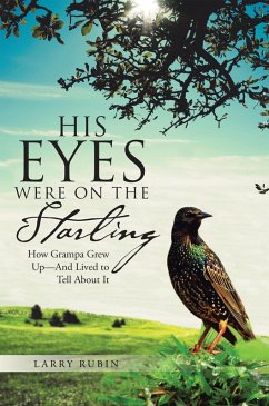 His Eyes Were on the Starling (eBook, ePUB) - Rubin, Larry