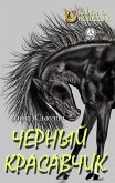 Black handsome (eBook, ePUB)