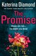The Promise (eBook, ePUB) - Bild 1