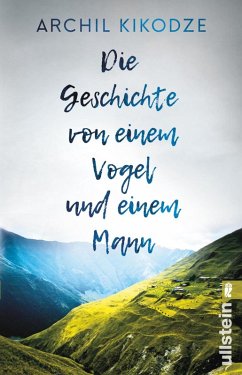 Die Geschichte von einem Vogel und einem Mann (eBook, ePUB) - Kikodze, Archil