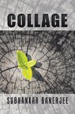 Collage (eBook, ePUB)