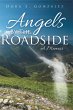 Angels by the Roadside (eBook, ePUB) - Bild 1