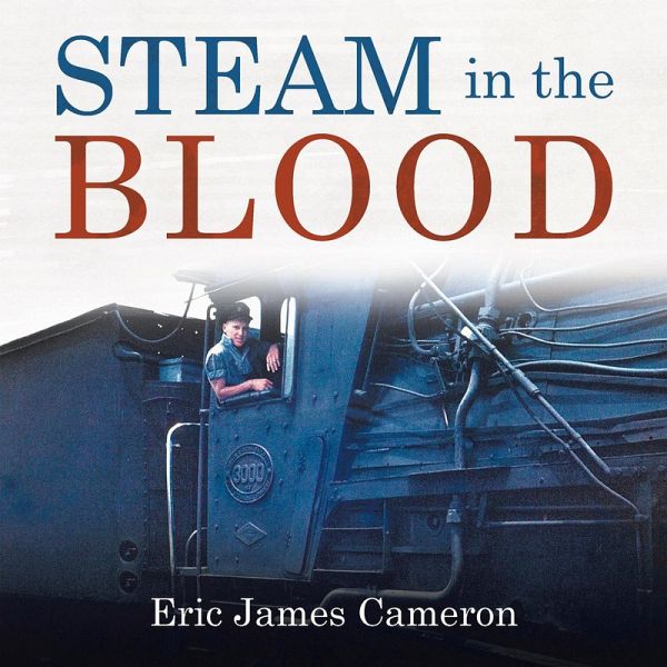 Steam in the Blood (eBook, ePUB)