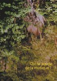 Qui se soucie de la musique ? (eBook, ePUB)