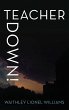 Teacher Down! (eBook, ePUB) - Bild 1